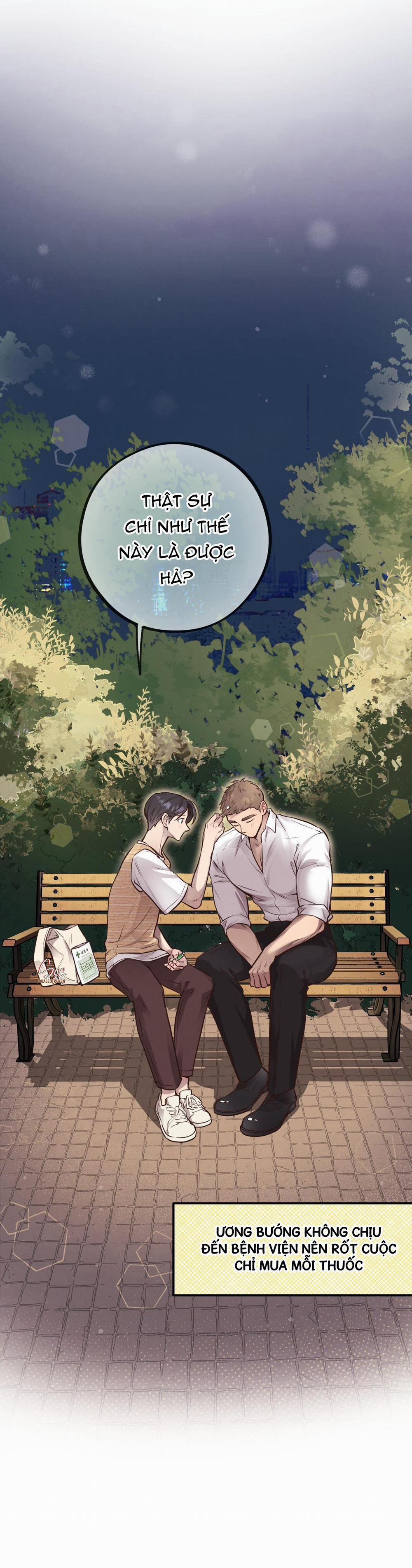 Honey Bear 25 trang 13