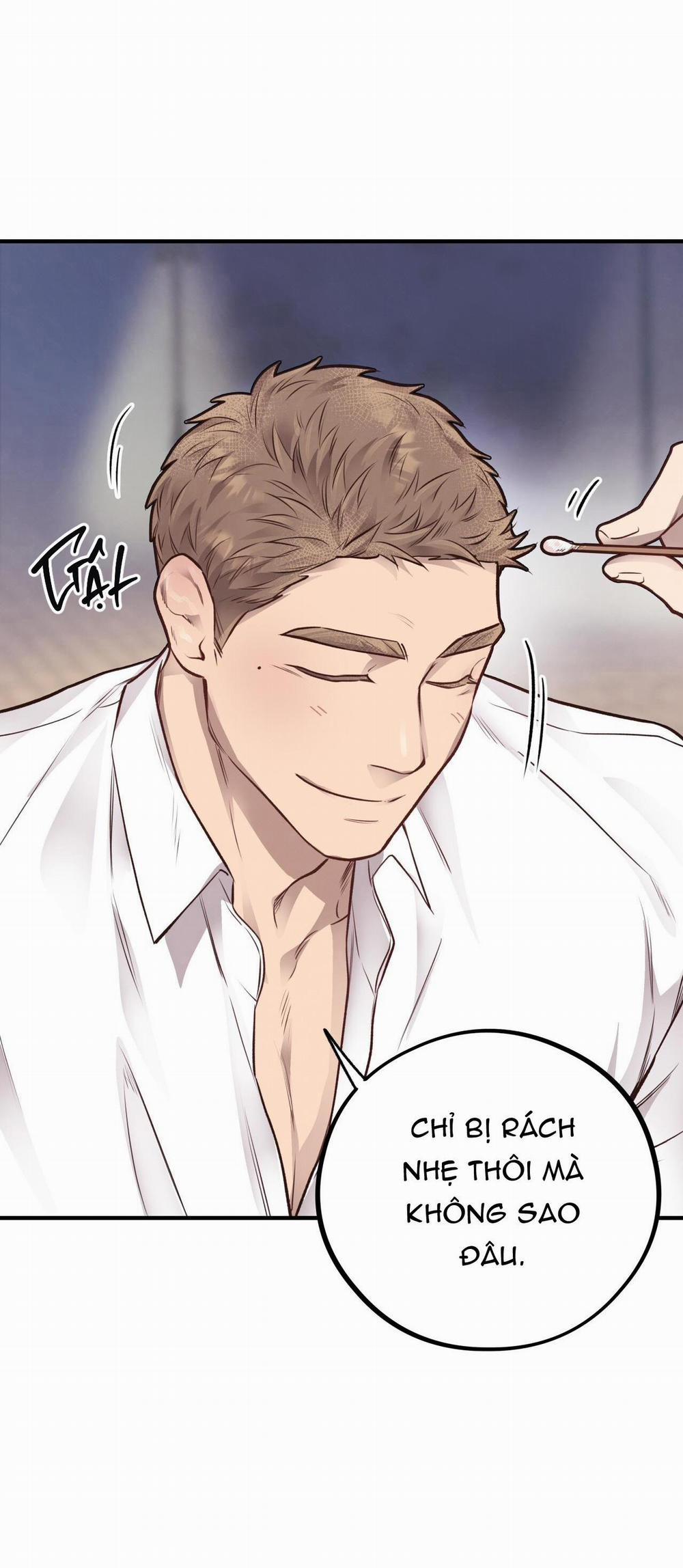 Honey Bear 25 trang 14