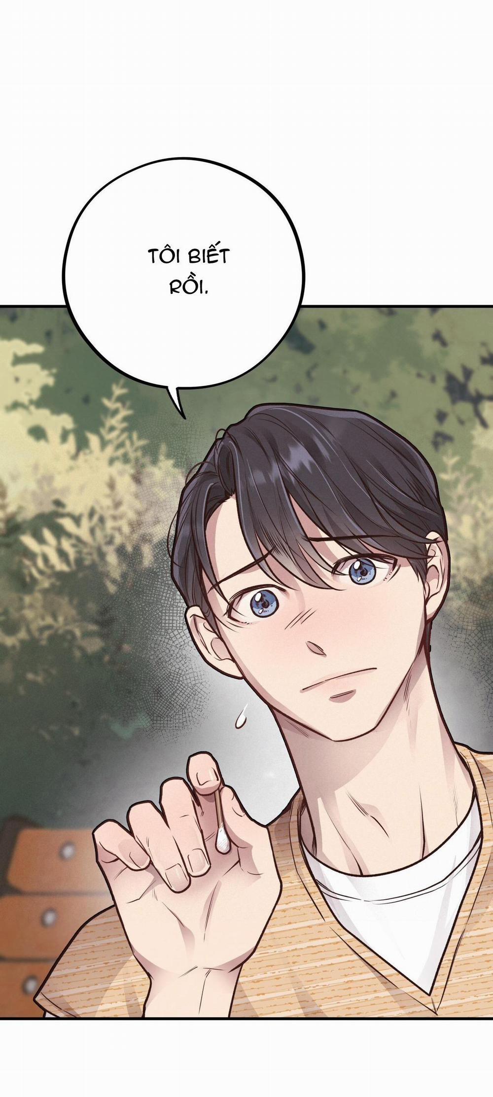 Honey Bear 25 trang 15