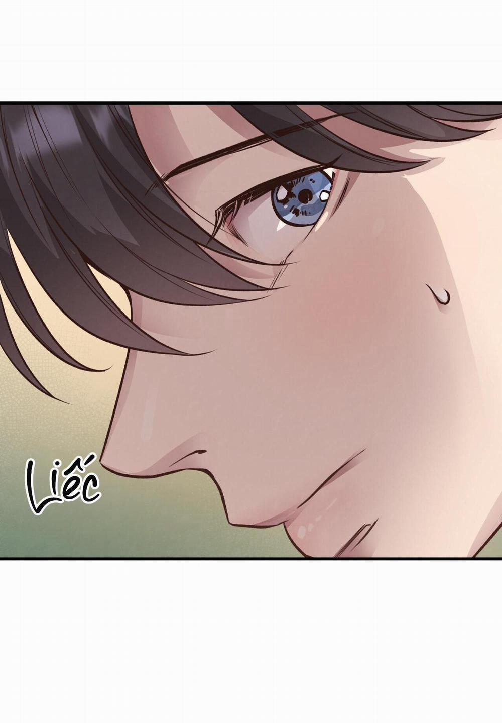 Honey Bear 25 trang 17