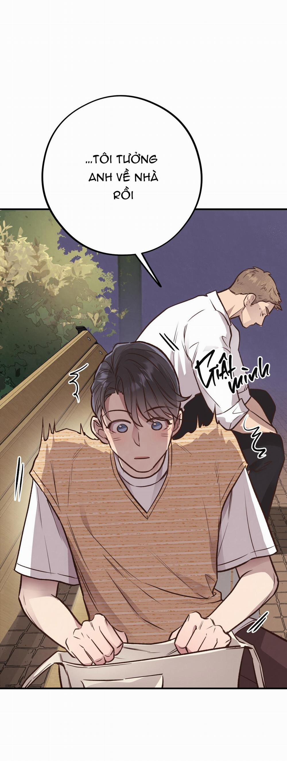 Honey Bear 25 trang 18