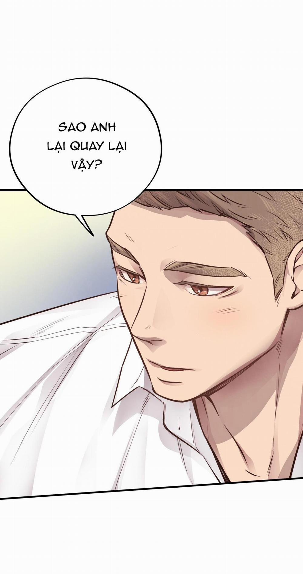 Honey Bear 25 trang 19