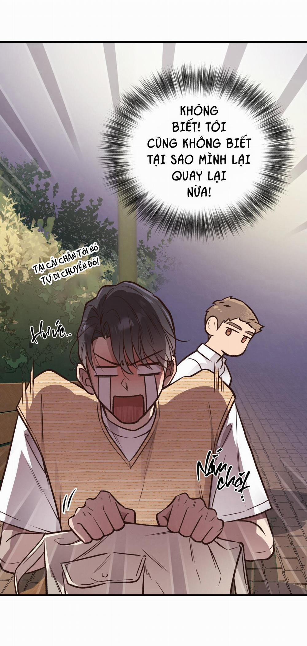 Honey Bear 25 trang 21