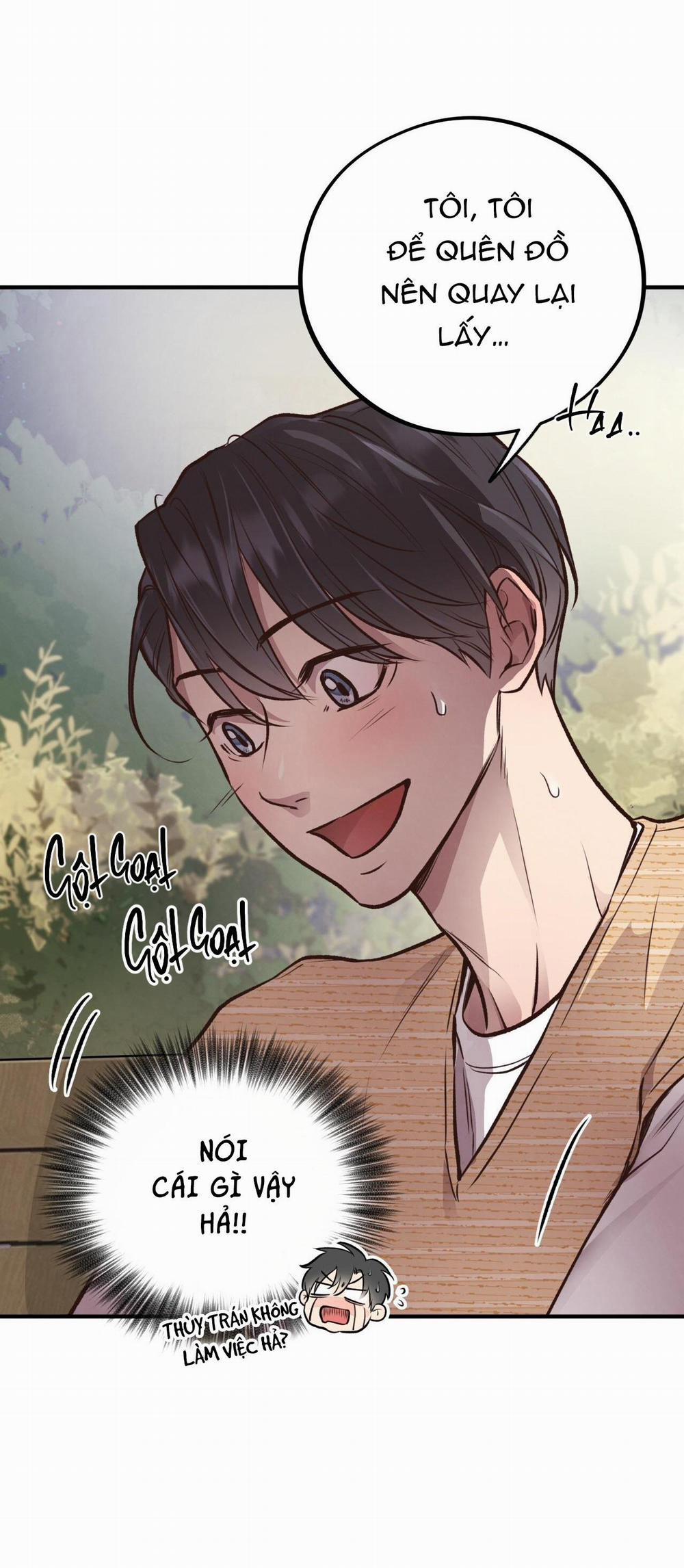 Honey Bear 25 trang 22