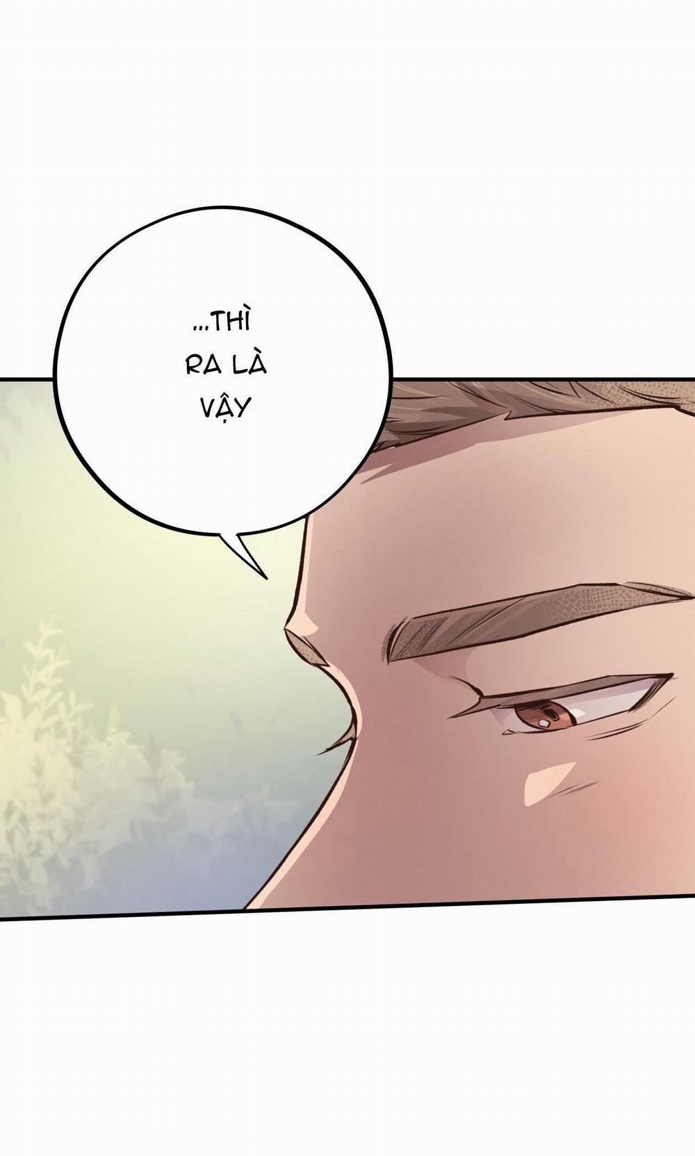 Honey Bear 25 trang 23