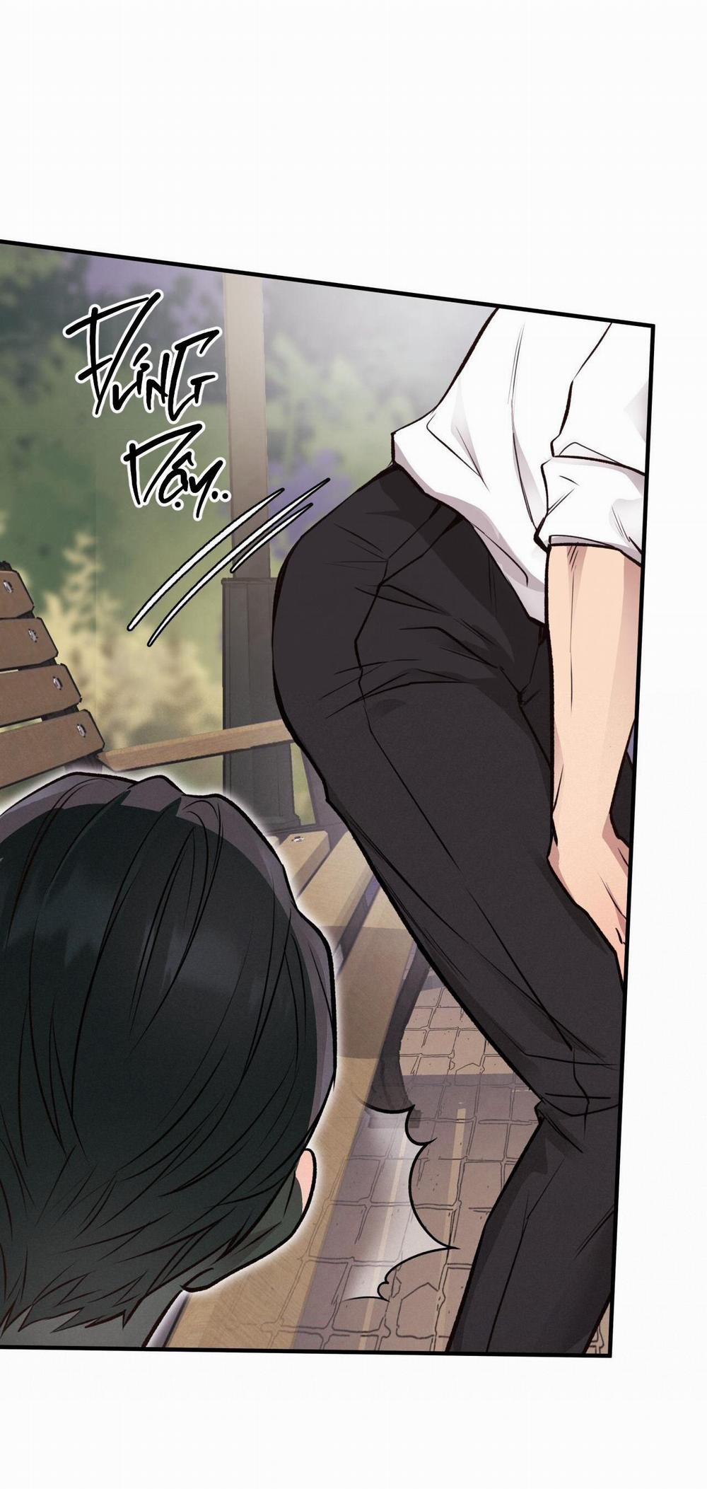 Honey Bear 25 trang 24