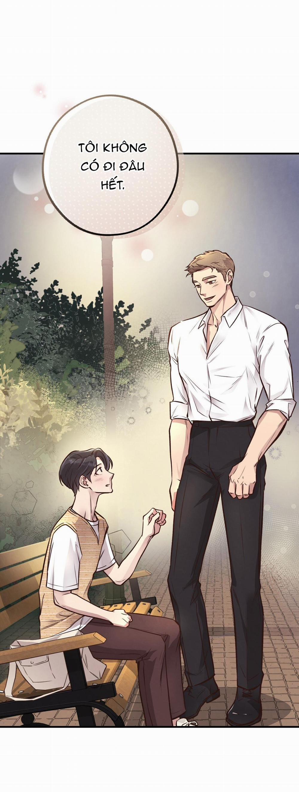 Honey Bear 25 trang 29