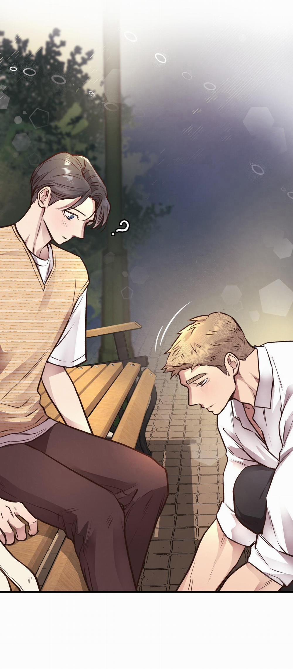 Honey Bear 25 trang 31