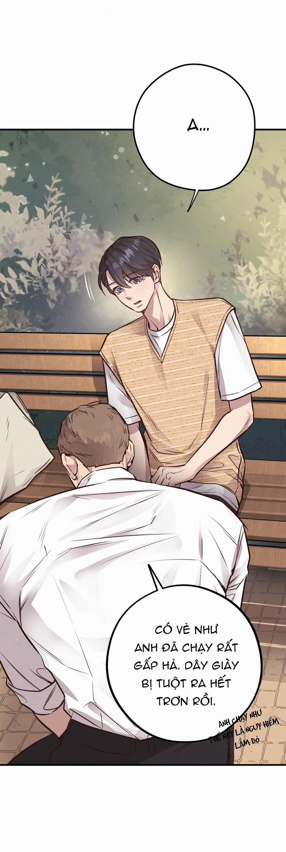 Honey Bear 25 trang 33