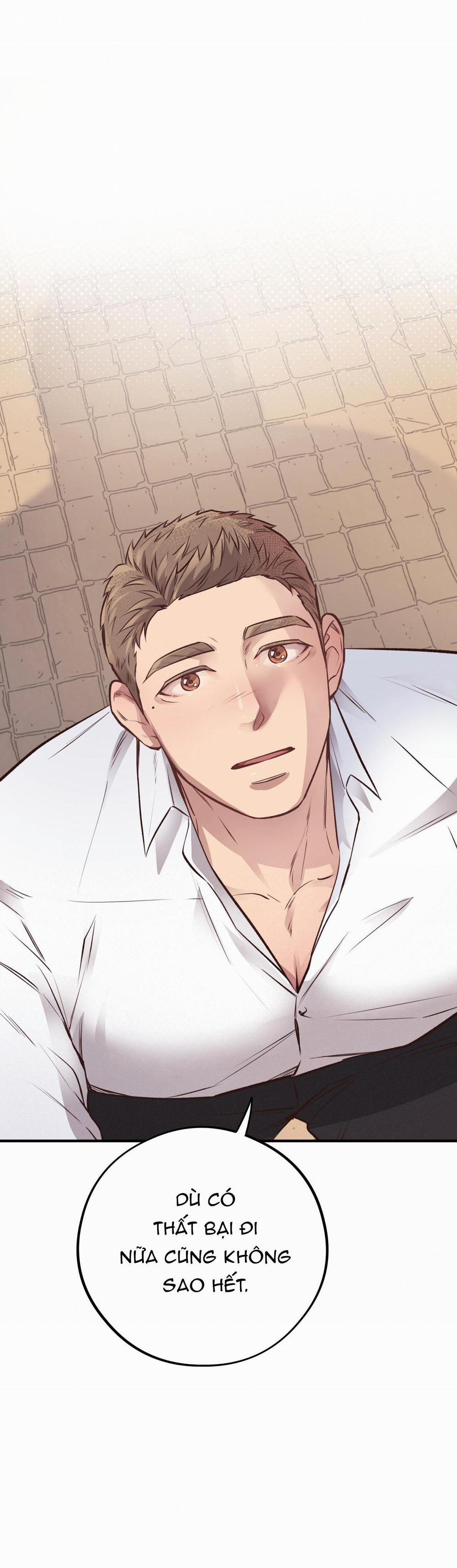 Honey Bear 25 trang 44