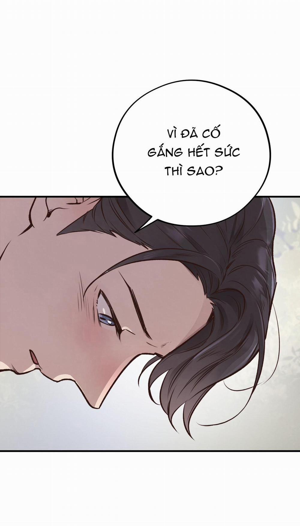 Honey Bear 25 trang 46