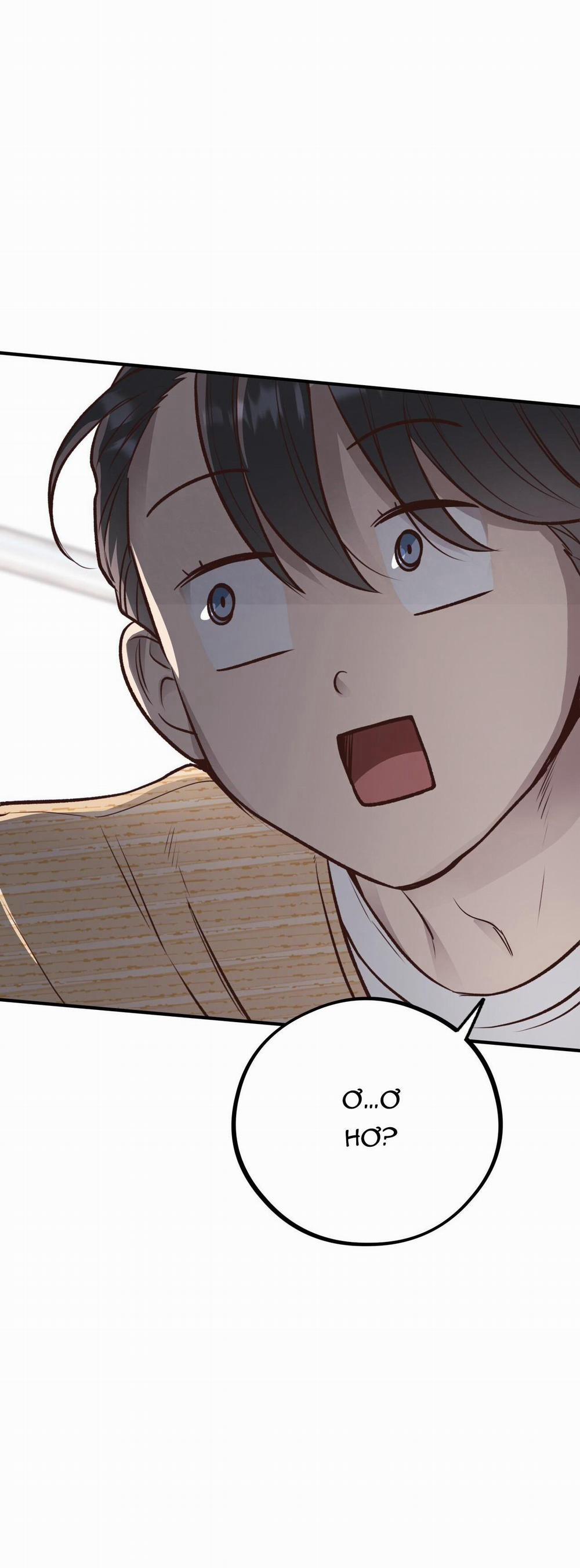 Honey Bear 25 trang 5