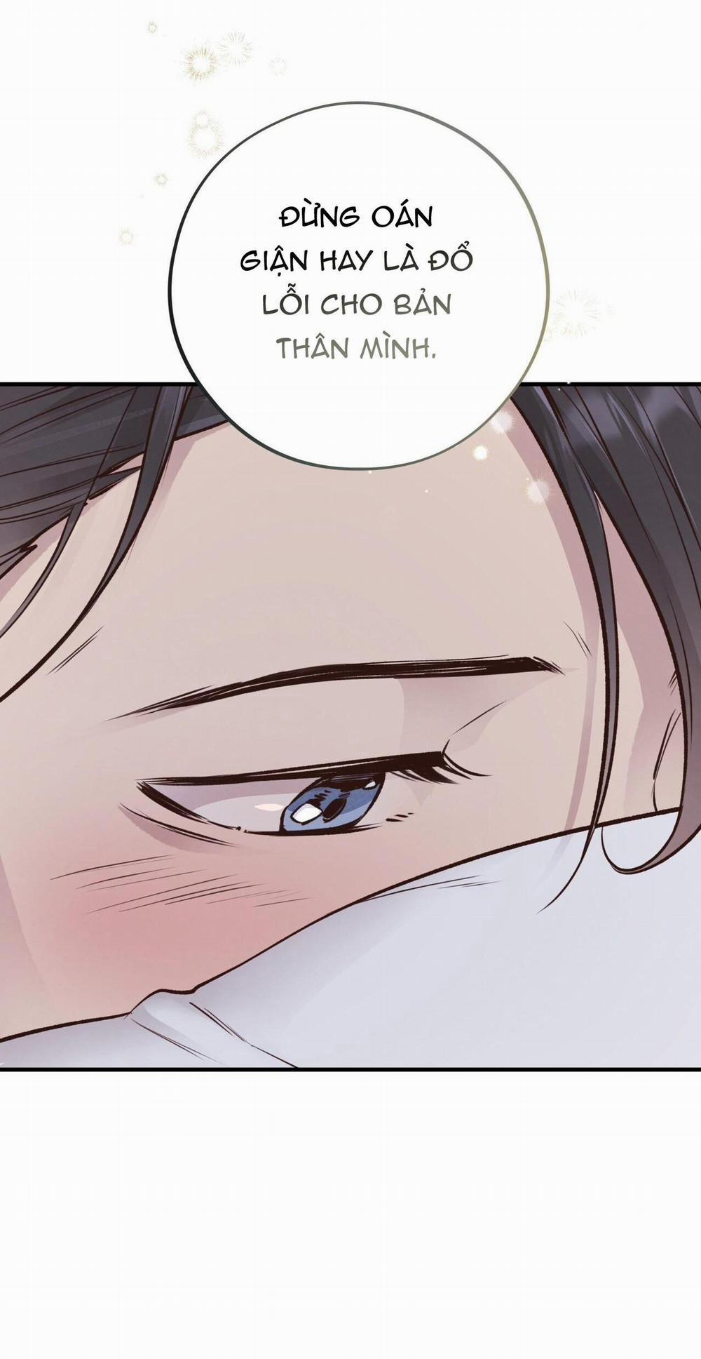 Honey Bear 25 trang 56