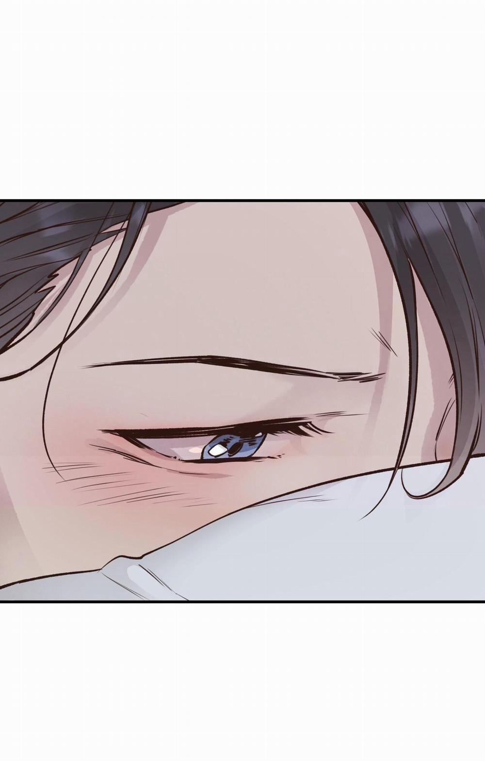 Honey Bear 25 trang 57