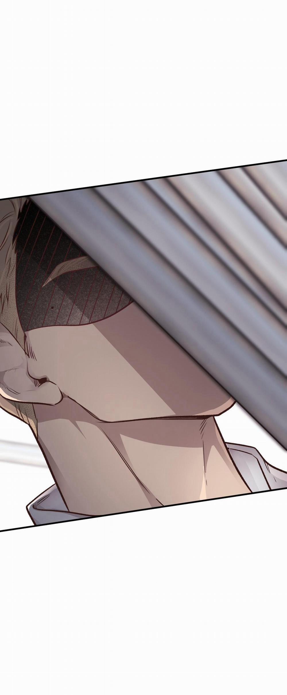 Honey Bear 25 trang 6