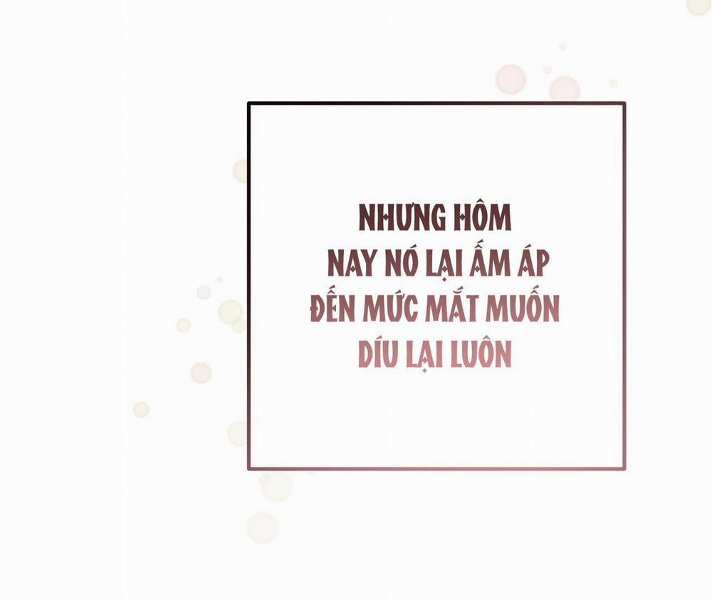 Honey Bear 25 trang 60