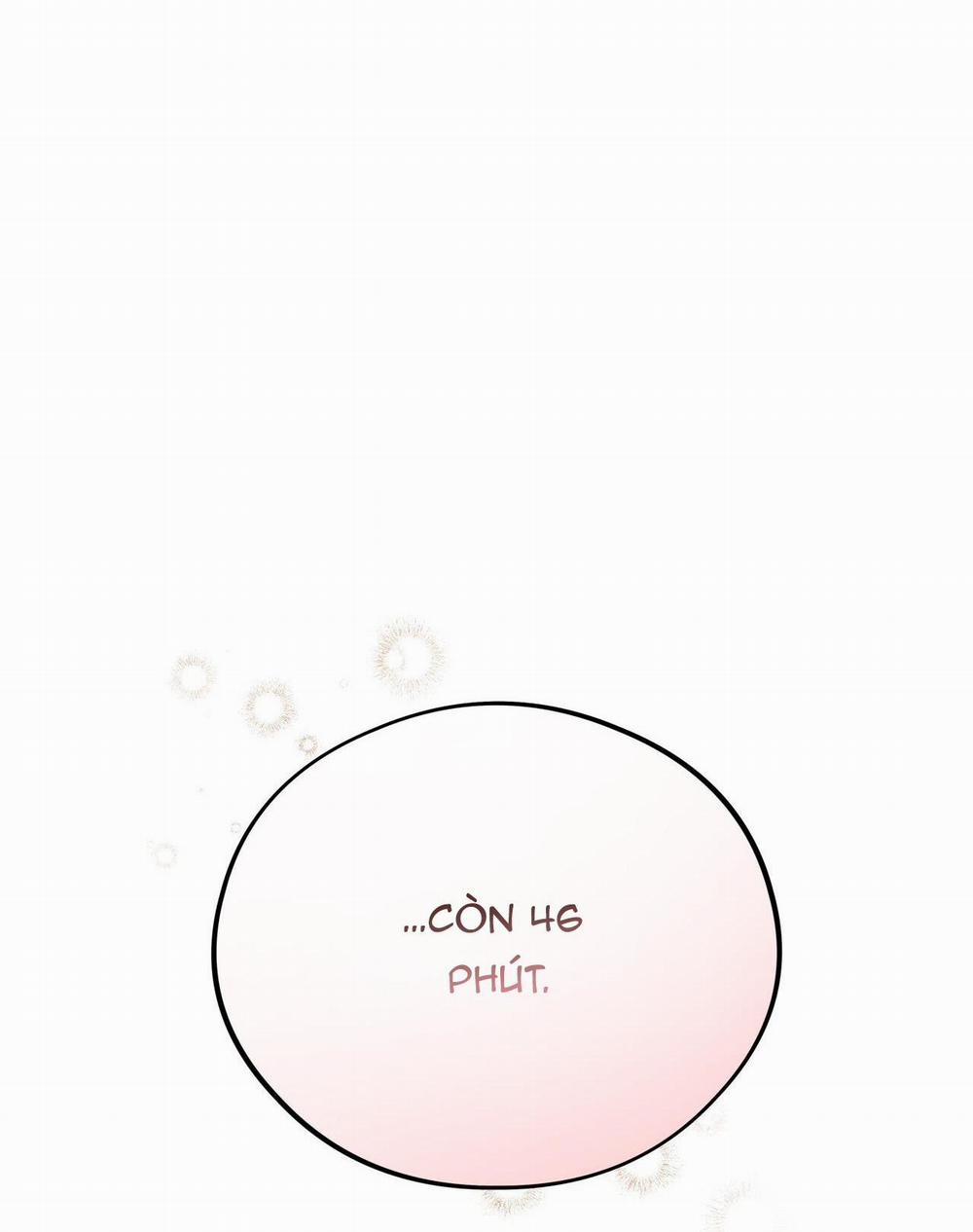 Honey Bear 25 trang 64