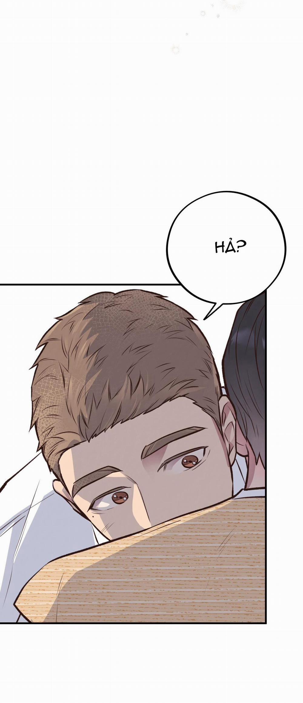 Honey Bear 25 trang 65