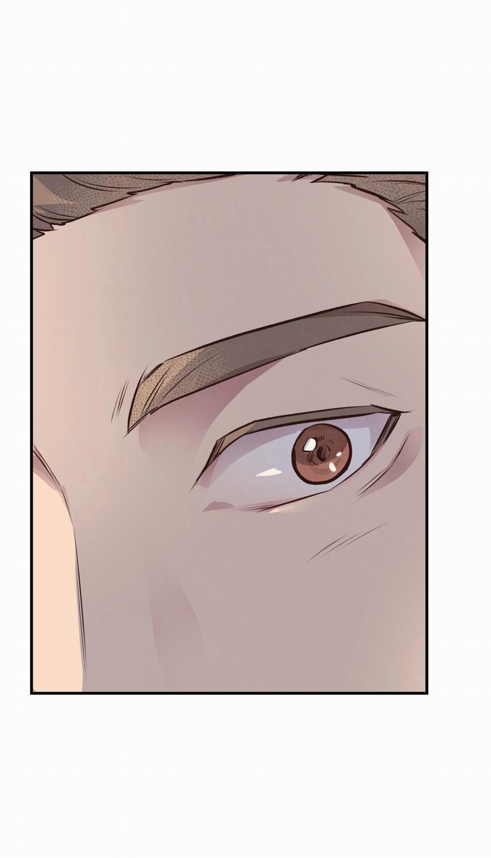 Honey Bear 25 trang 67