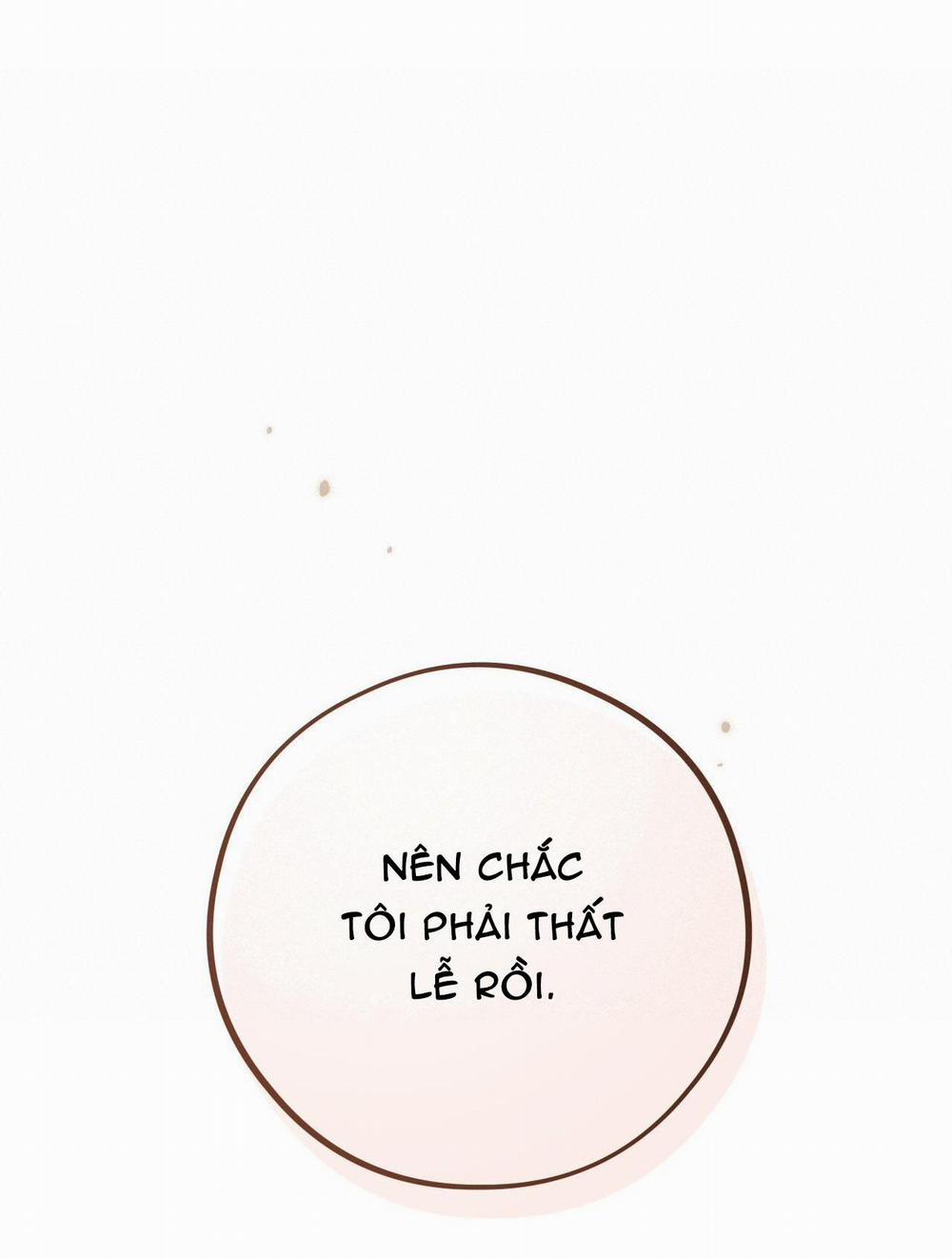 Honey Bear 25 trang 71