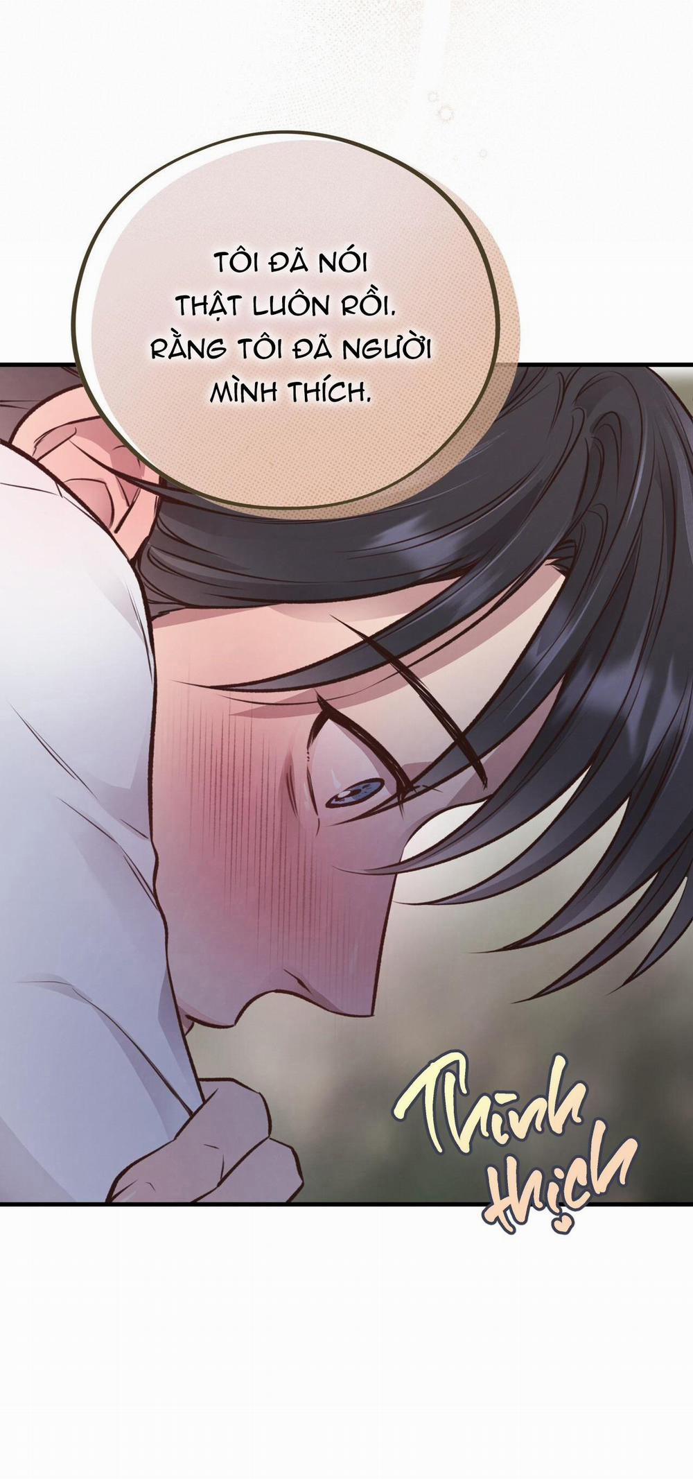 Honey Bear 26 trang 10