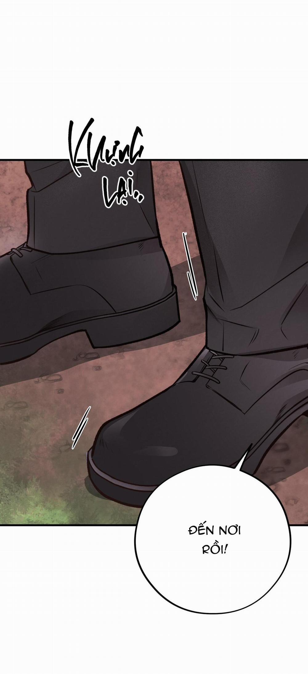 Honey Bear 26 trang 13