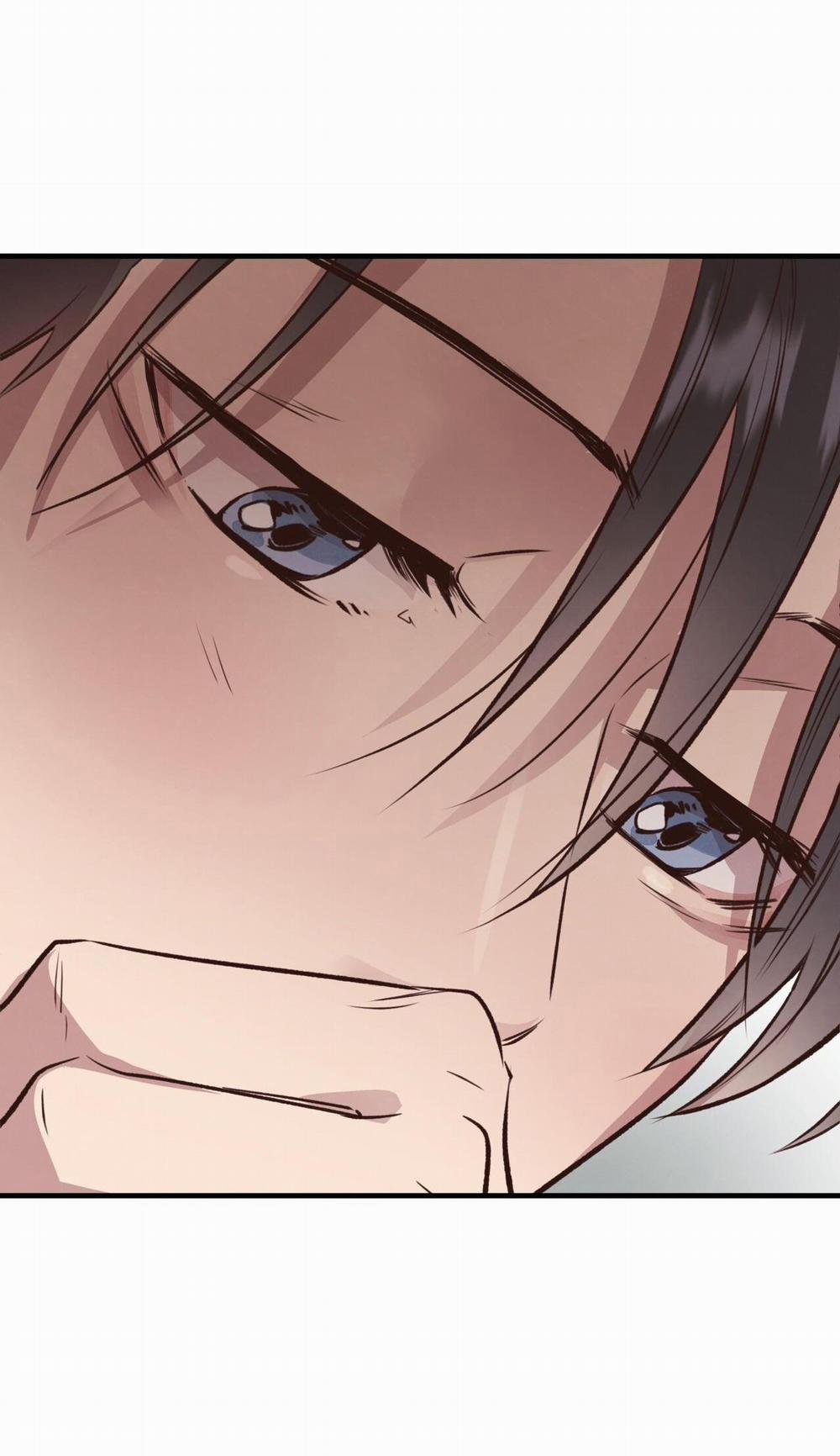 Honey Bear 26 trang 31