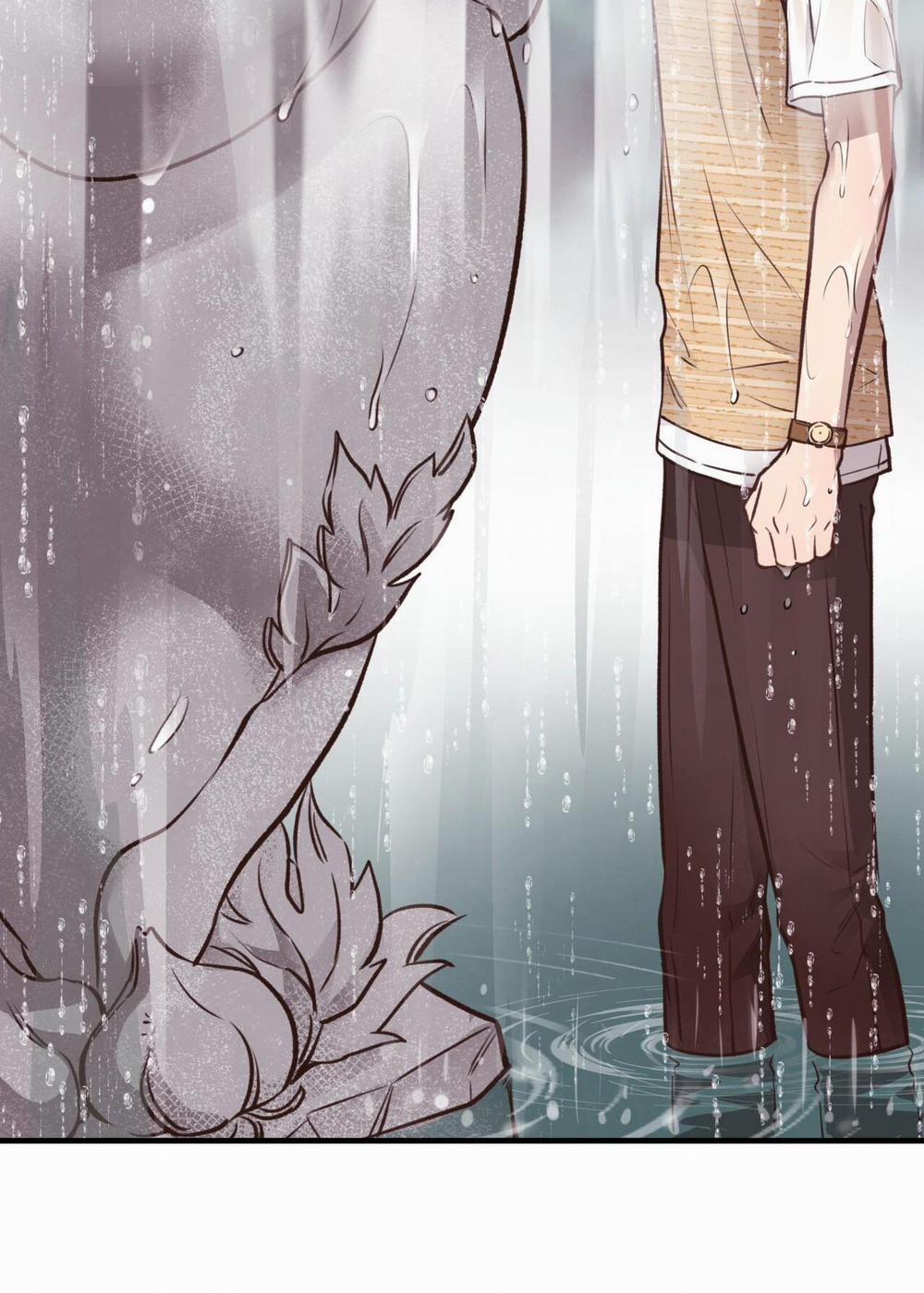 Honey Bear 26 trang 40