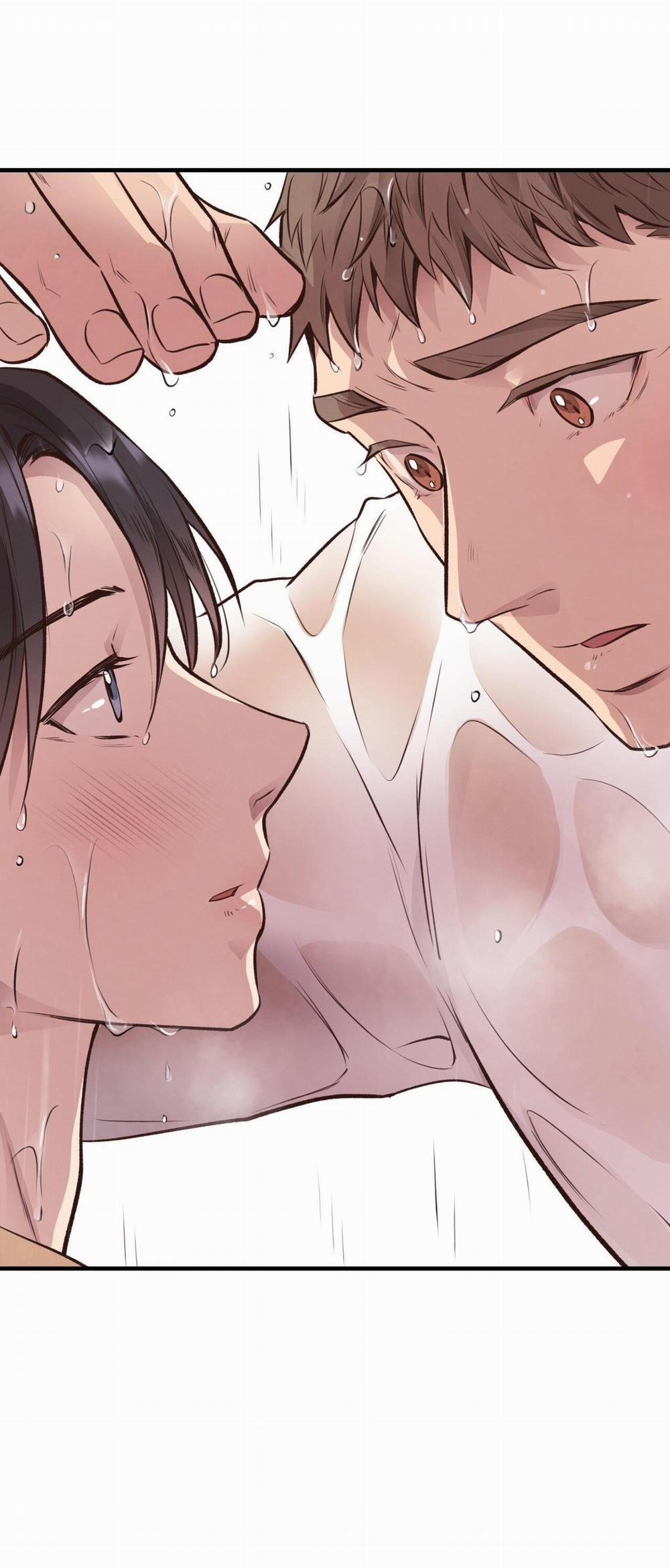 Honey Bear 26 trang 43