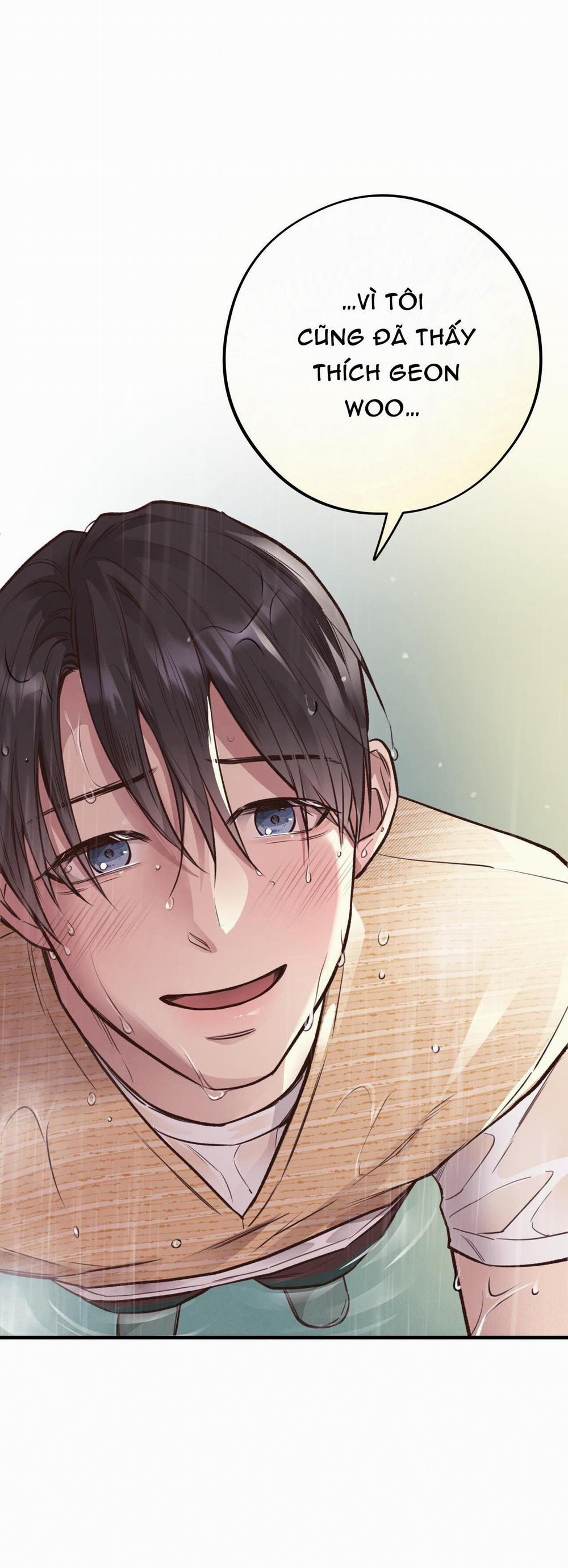 Honey Bear 26 trang 46