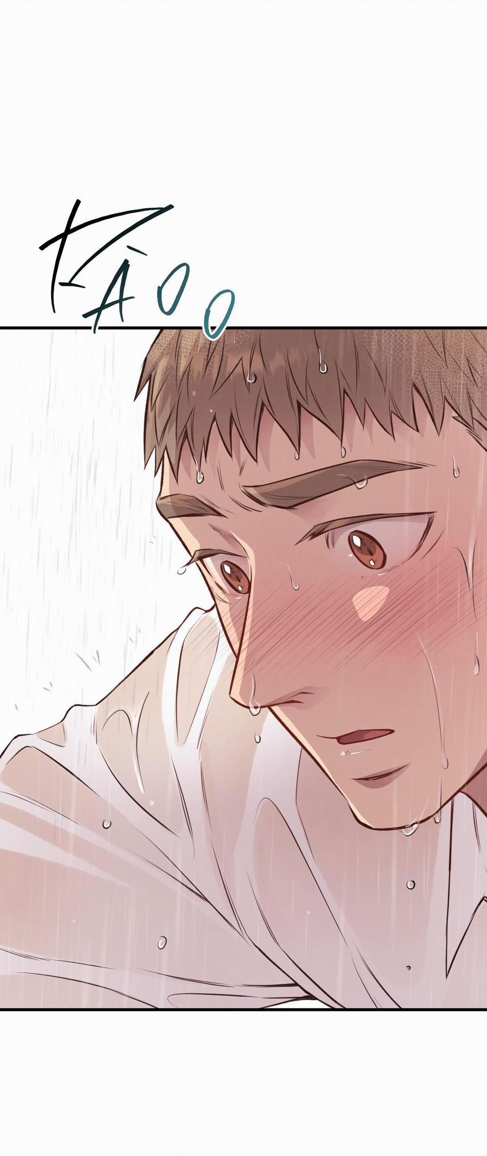 Honey Bear 26 trang 47