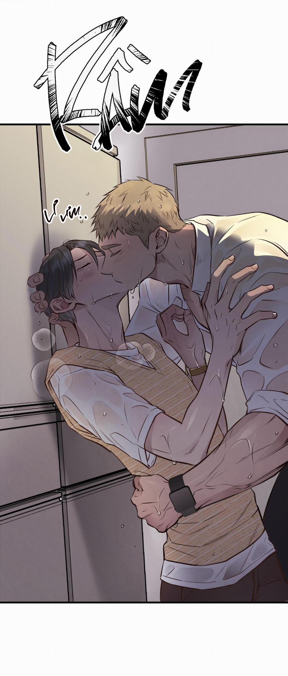 Honey Bear 26 trang 56