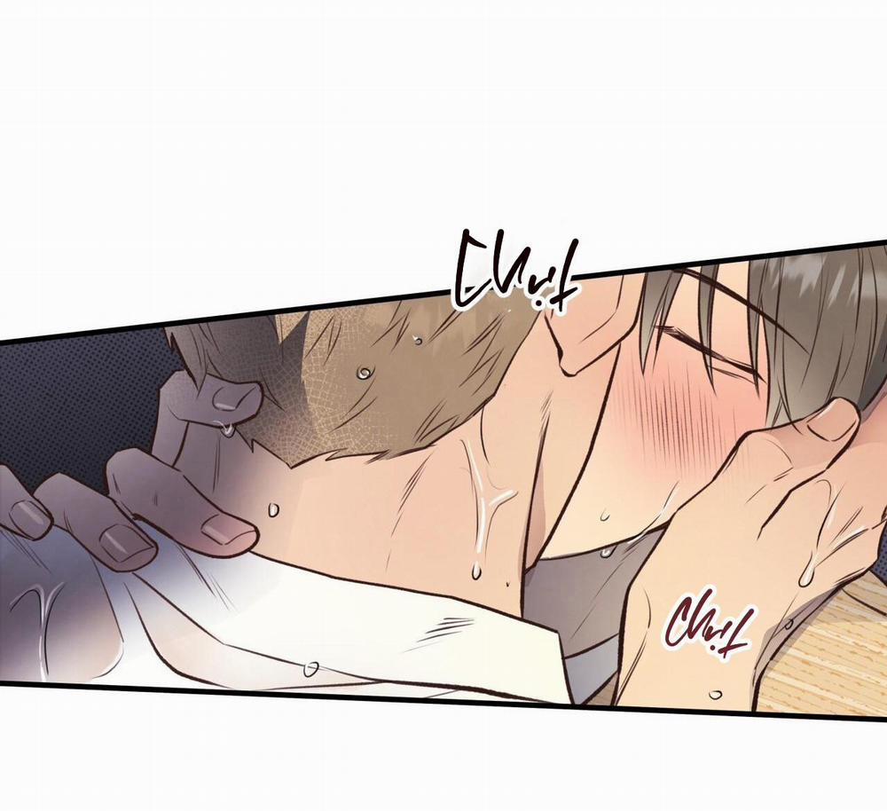 Honey Bear 26 trang 57