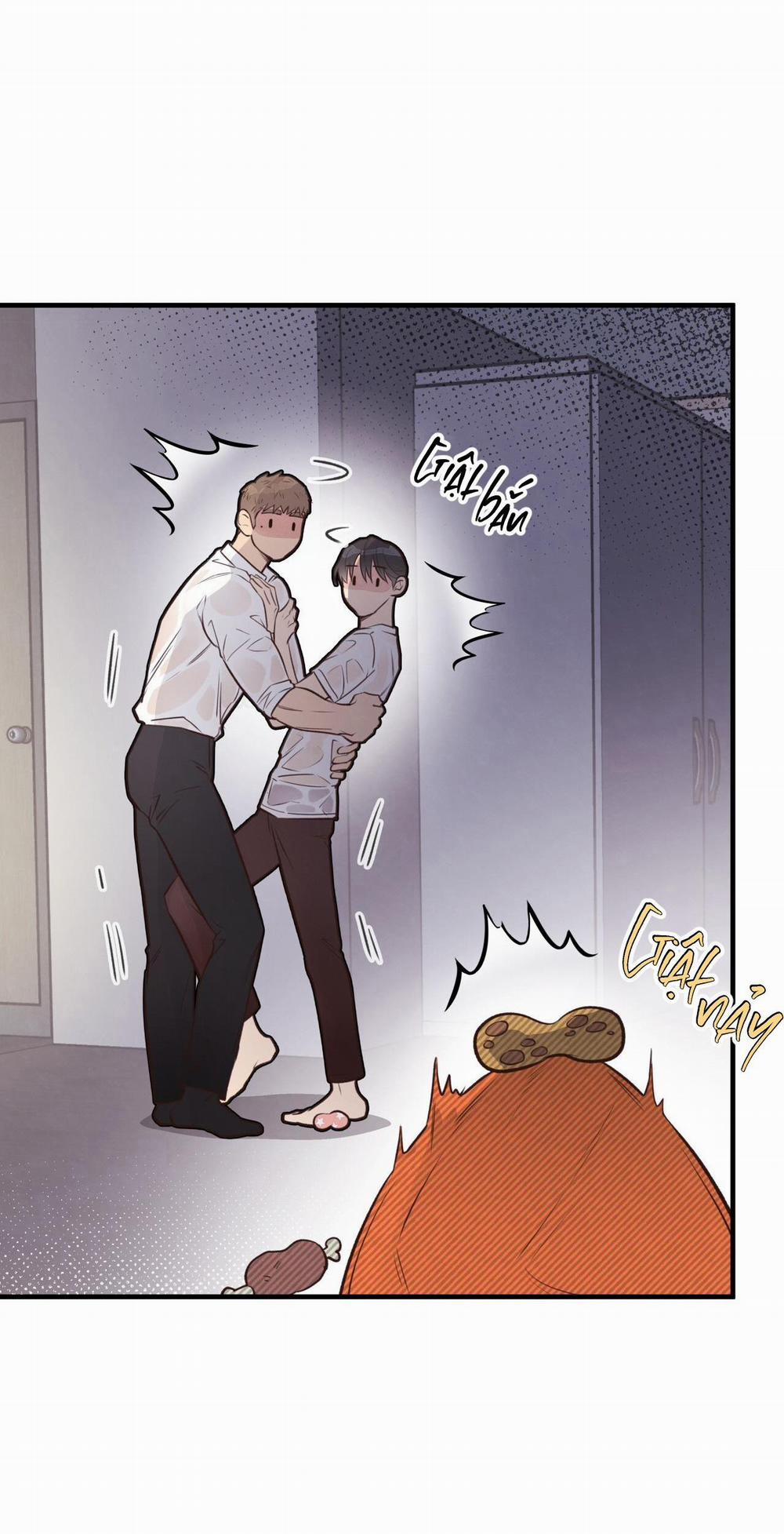 Honey Bear 26 trang 61