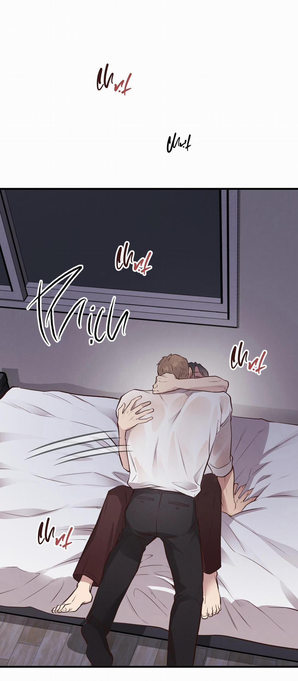 Honey Bear 26 trang 65