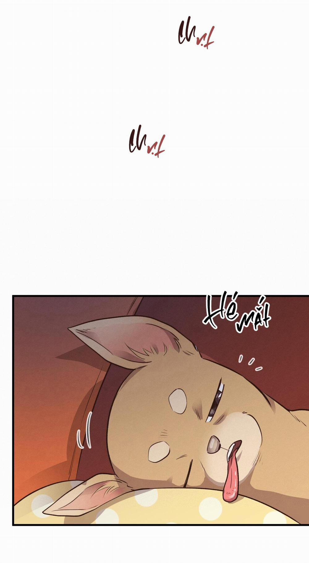 Honey Bear 26 trang 66