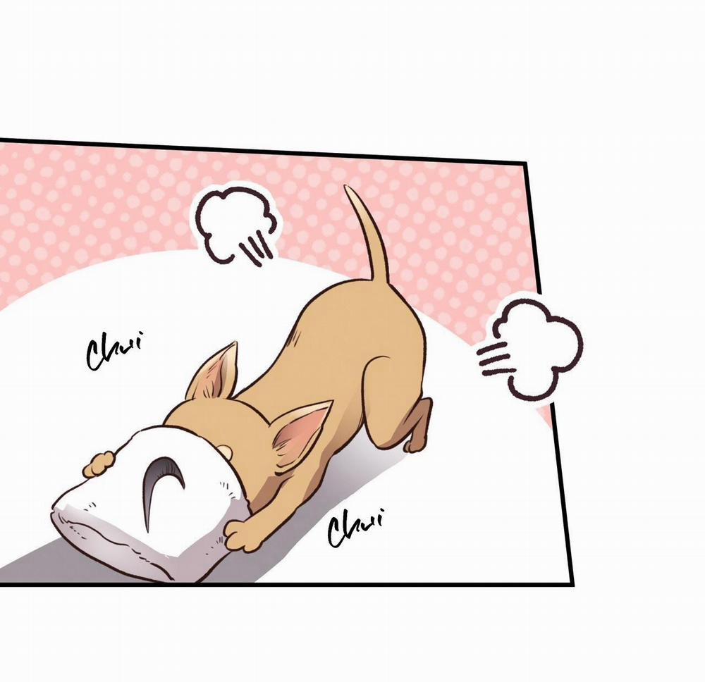 Honey Bear 26 trang 70