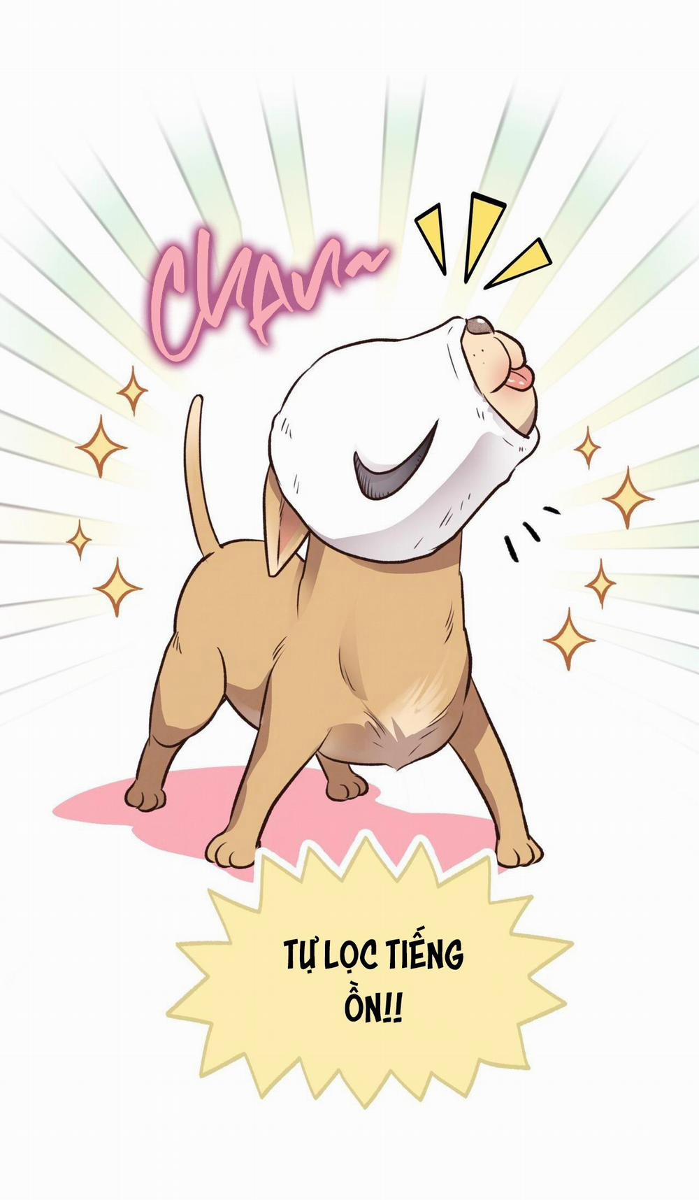 Honey Bear 26 trang 71