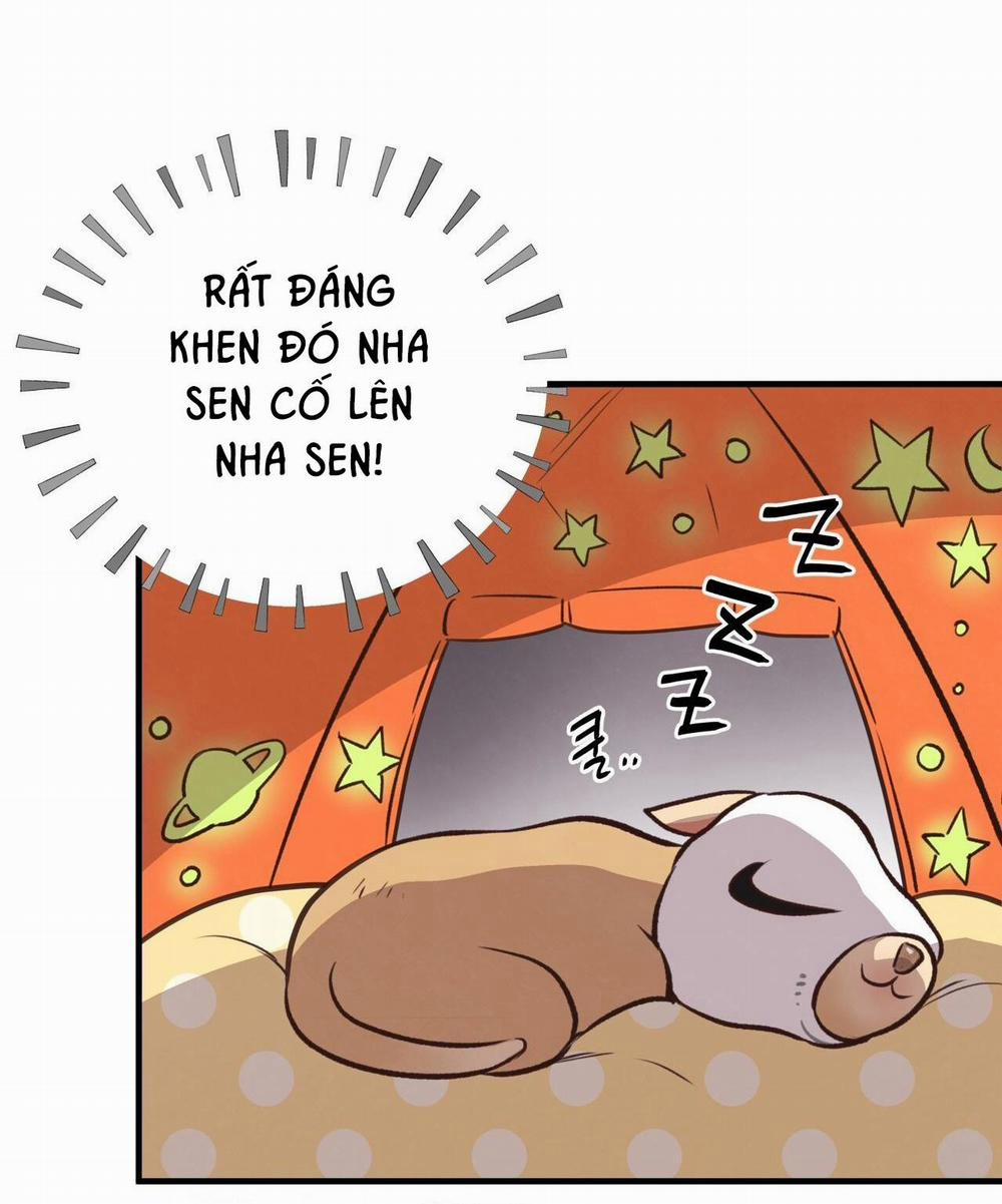 Honey Bear 26 trang 72