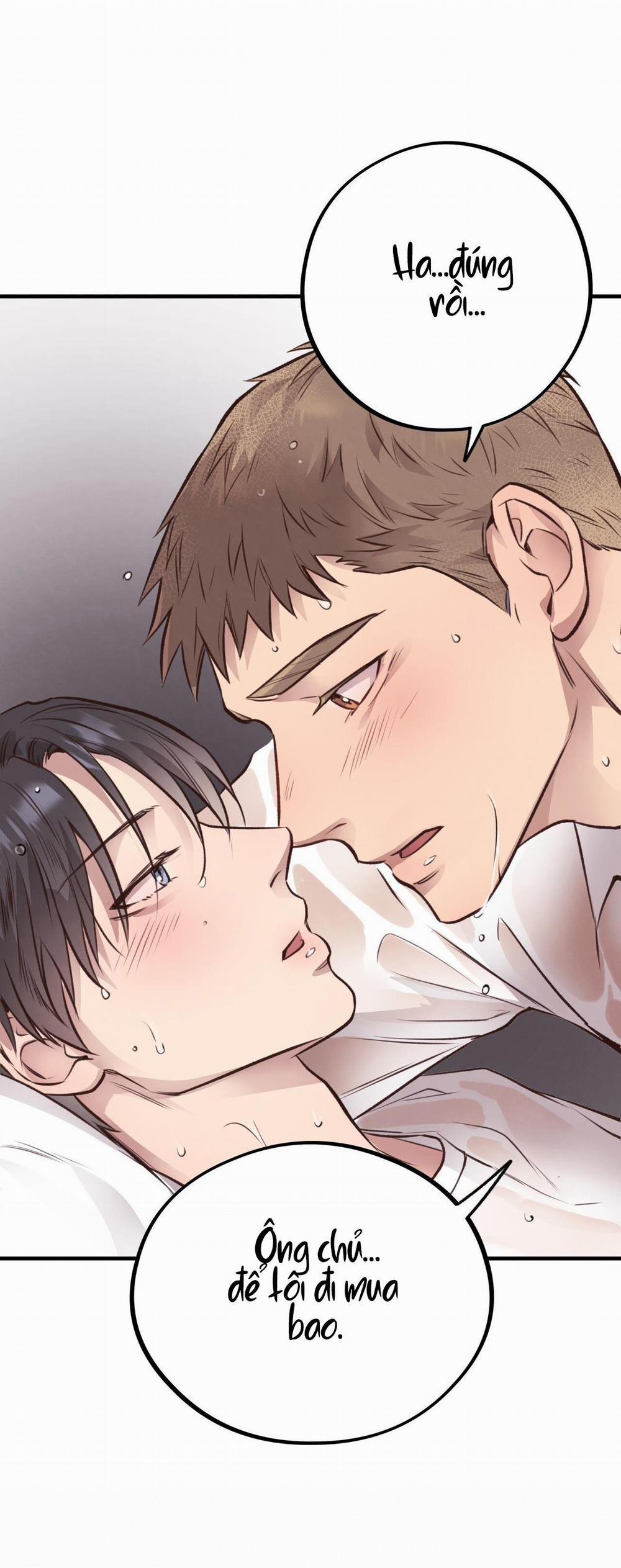 Honey Bear 26 trang 77