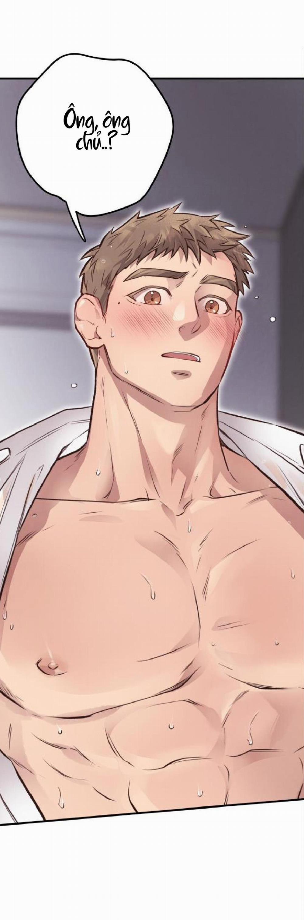 Honey Bear 26 trang 81