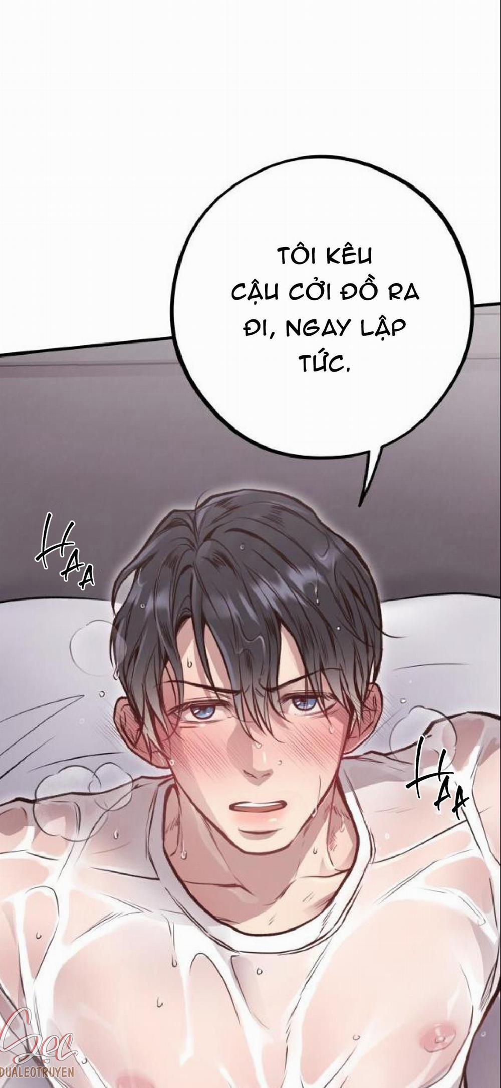 Honey Bear 26 trang 82