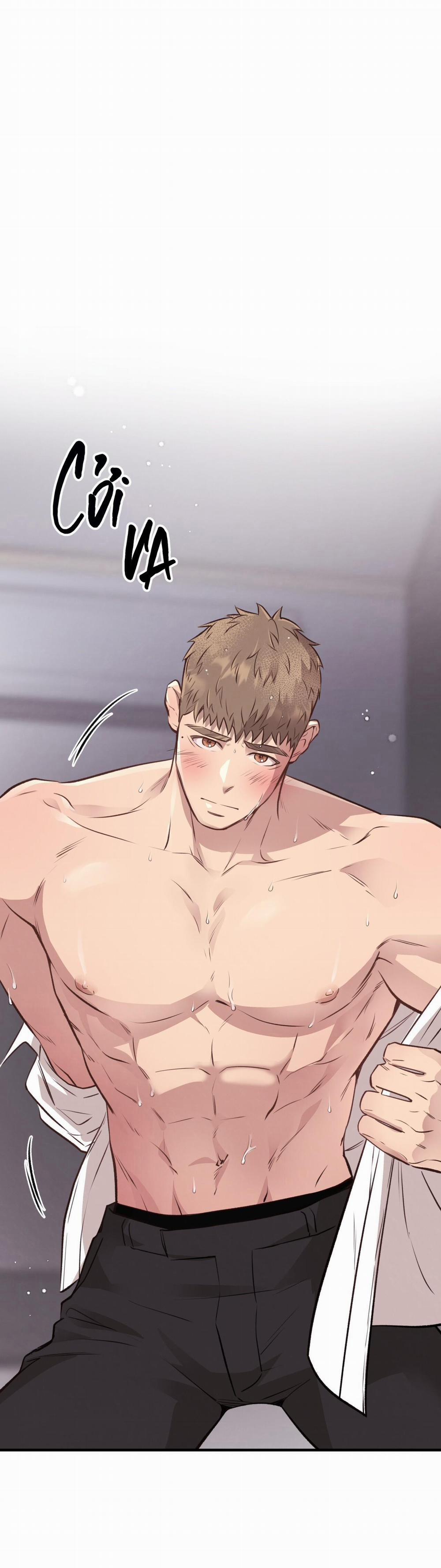 Honey Bear 27 trang 1