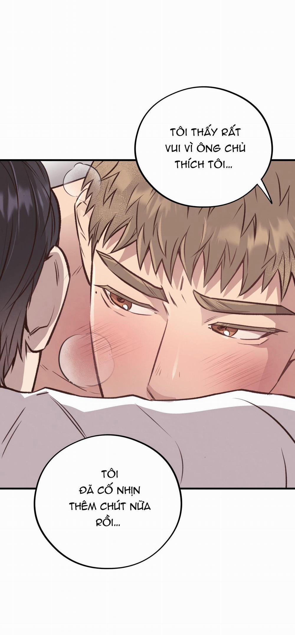 Honey Bear 27 trang 11