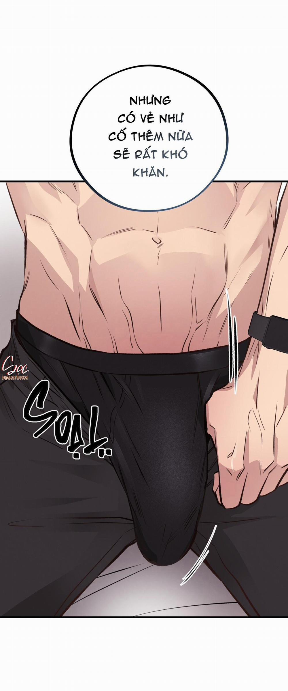 Honey Bear 27 trang 12