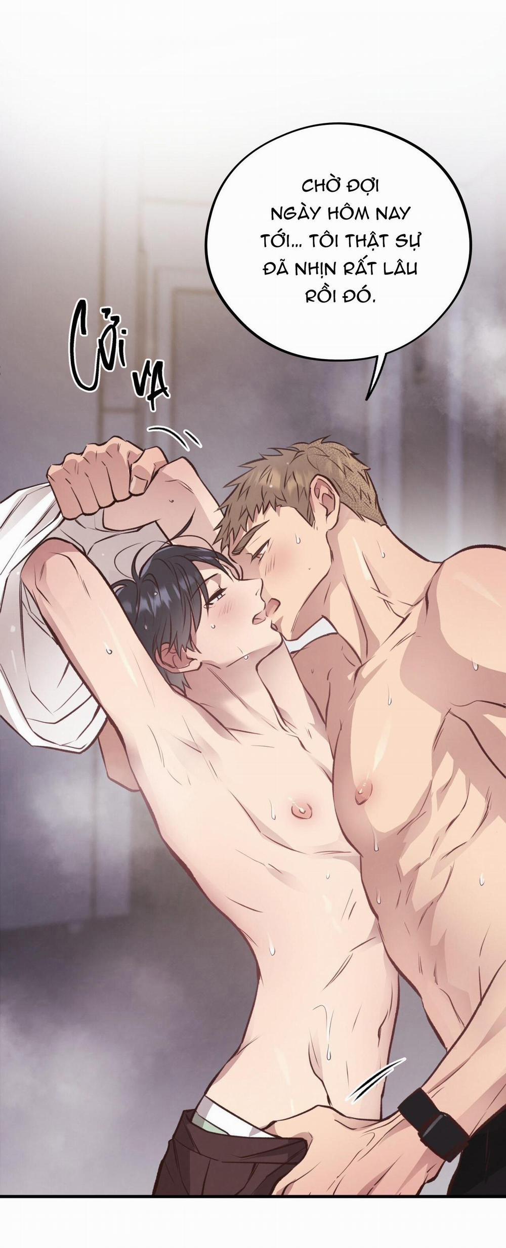 Honey Bear 27 trang 14