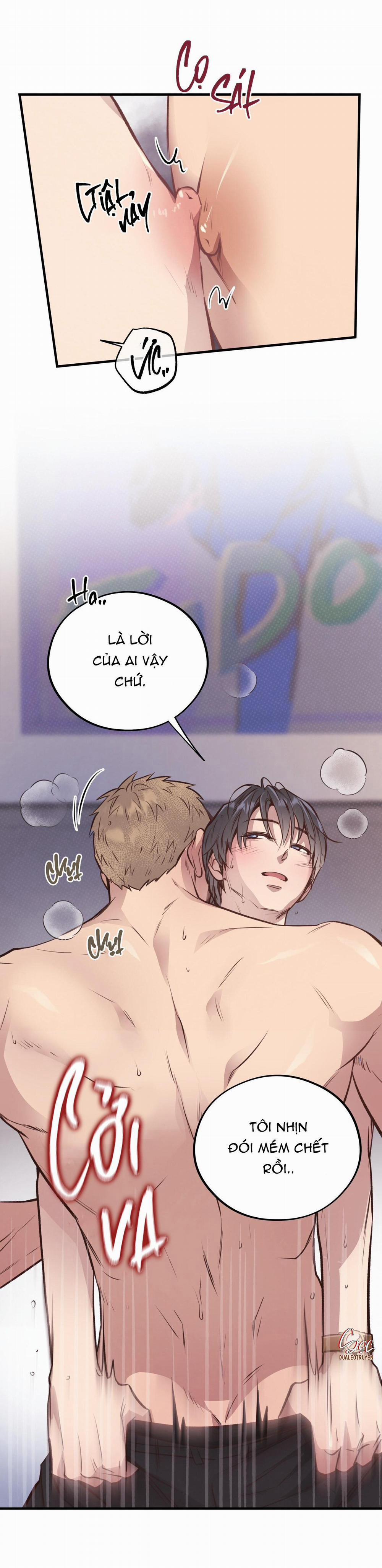 Honey Bear 27 trang 15