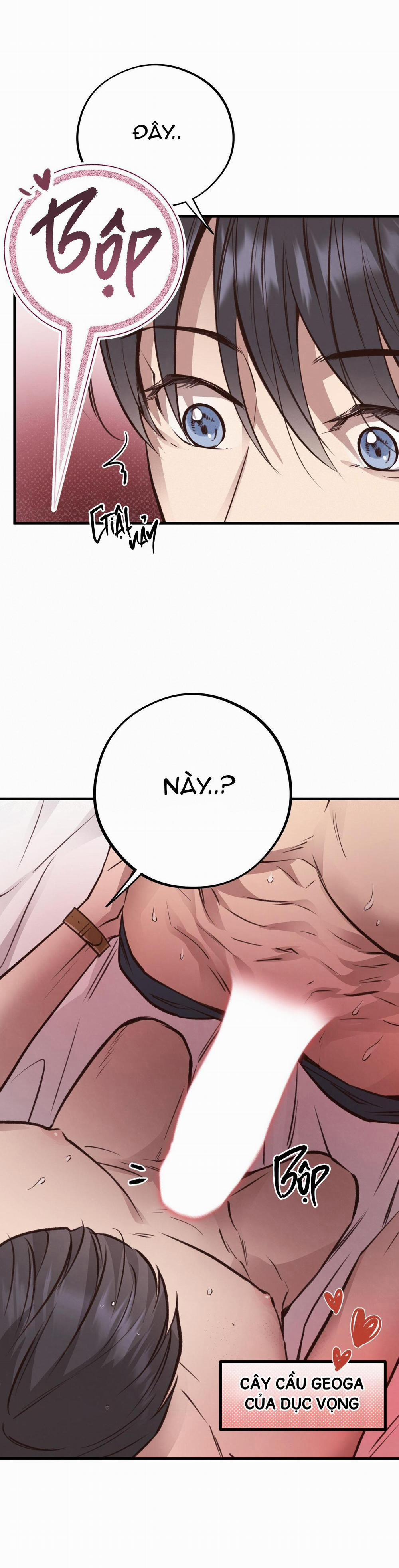 Honey Bear 27 trang 16