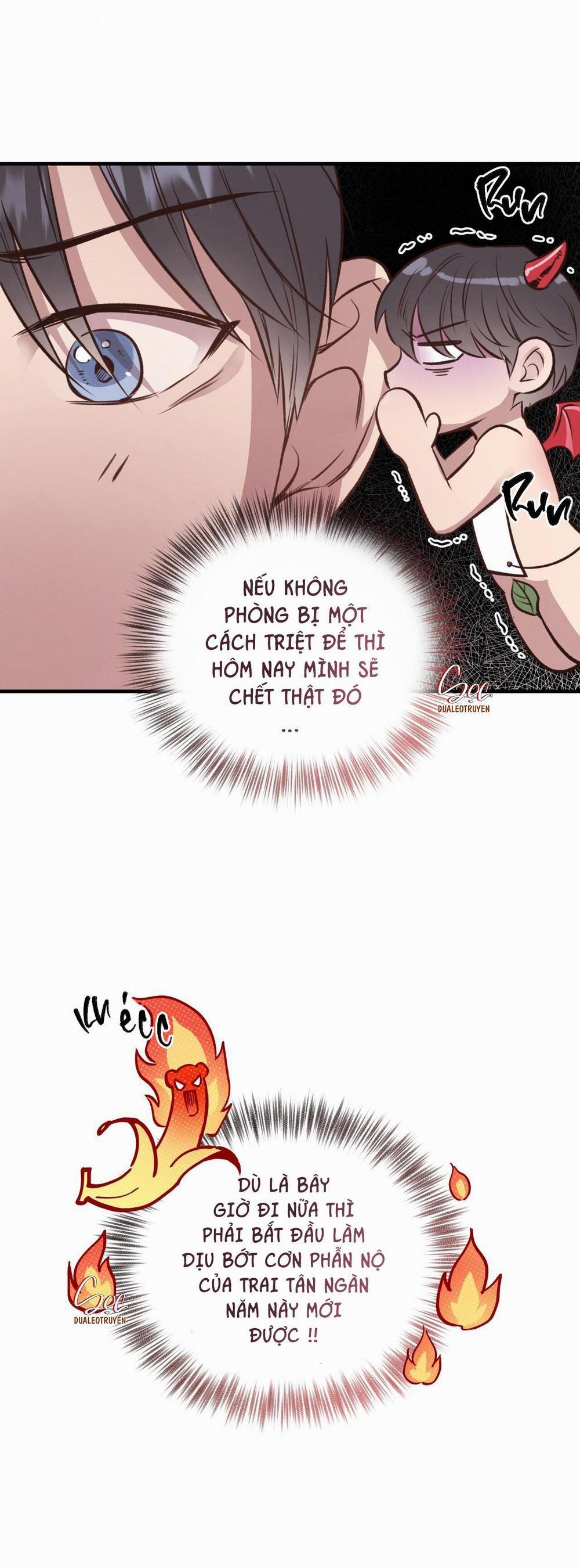 Honey Bear 27 trang 19