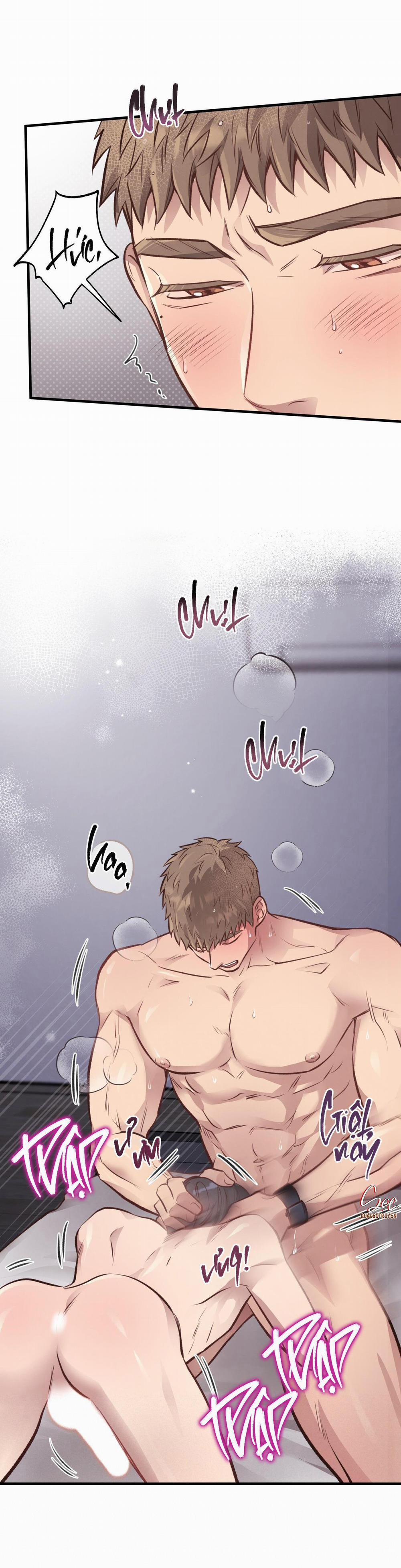 Honey Bear 27 trang 22